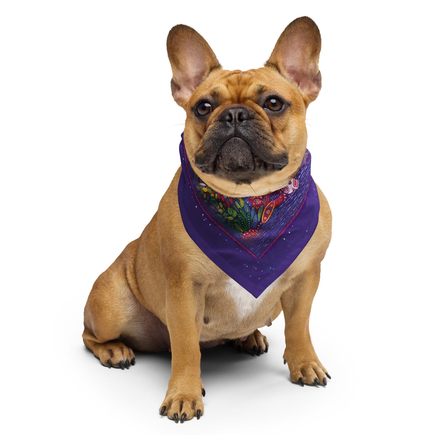 Santana Supernatural All-over print bandana